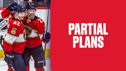 Partial Plans