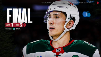 Minnesota Wild New York Islanders game recap April 4
