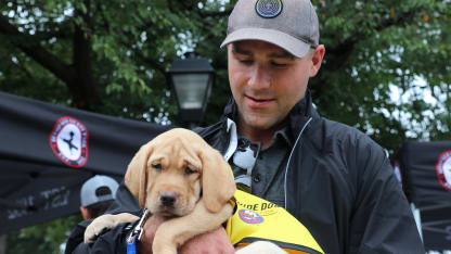 Puppy Blog: Islanders Meet Radar