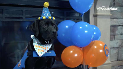 Monte's Six-Month Birthday