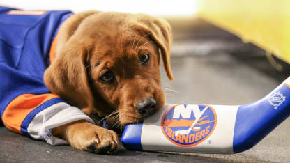 Puppy Blog: Introducing Tori!