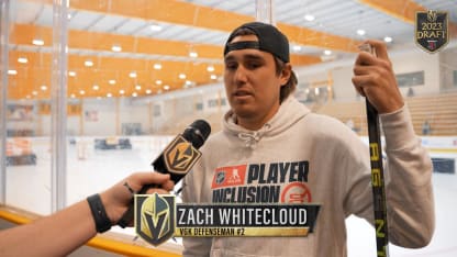 Player Inclusion Coalition Launch