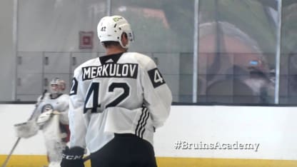 In the System: Merkulov