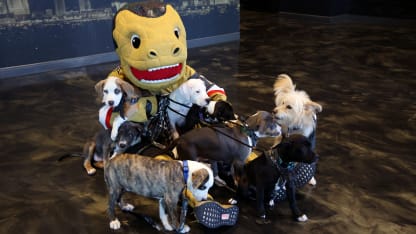 VGK, Friends of Henderson Animal Support Partner for Pet Adoption Event on Wednesday, December 18