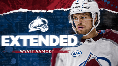 Avalanche Sign Aamodt