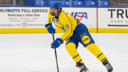 2025 NHL Draft: Central Division needs