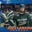 Islanders Sign Larson