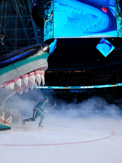 Flames vs Sharks 